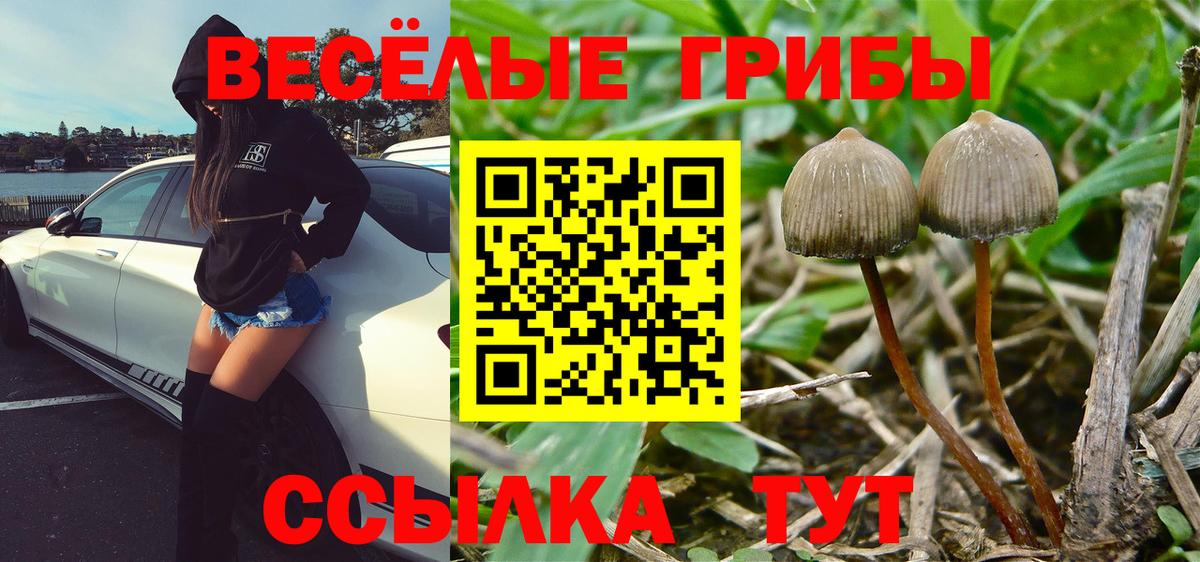 Псилоцибиновые грибы MAGIC MUSHROOMS Великие Луки